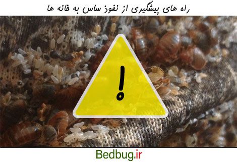 پیشگیری از نفوذ ساس به خانه