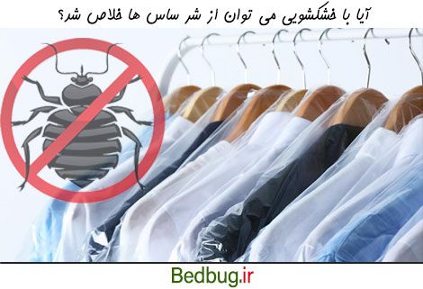از بین بردن ساس با خشکشویی