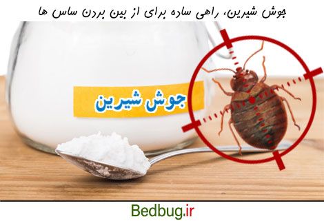 کشتن ساس با جوش شیرین