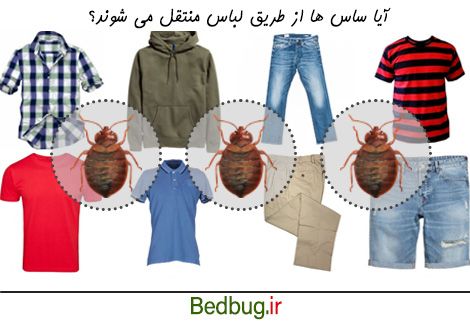 انتقال ساس از لباس امکانپذیر است؟